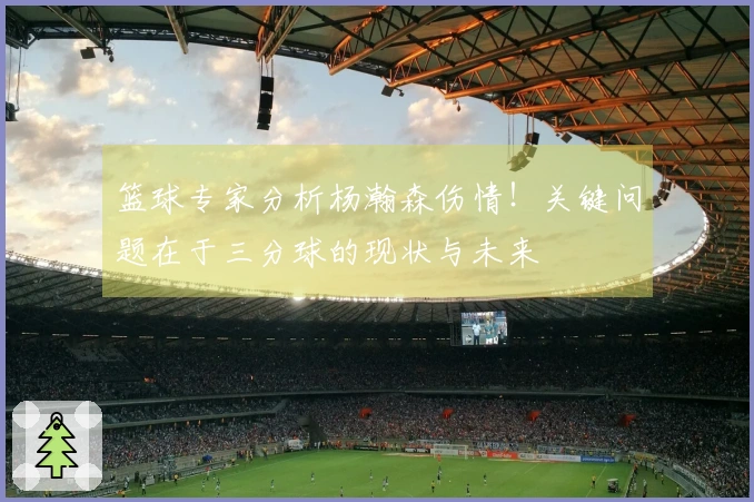 篮球专家分析杨瀚森伤情！关键问题在于三分球的现状与未来