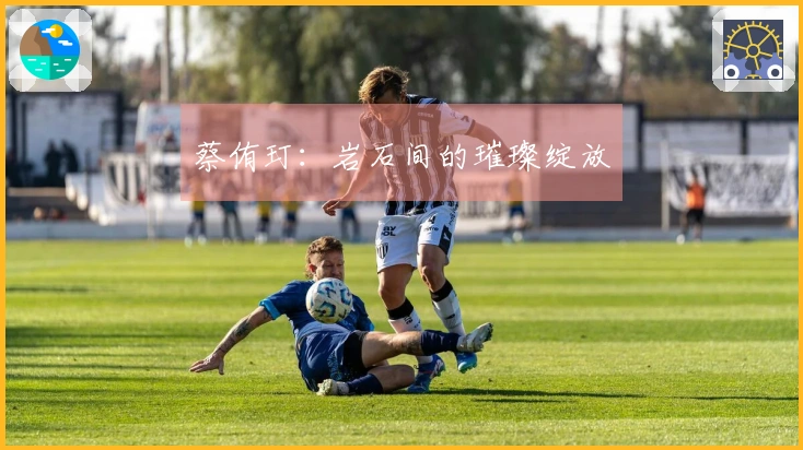 蔡侑玎：岩石间的璀璨绽放