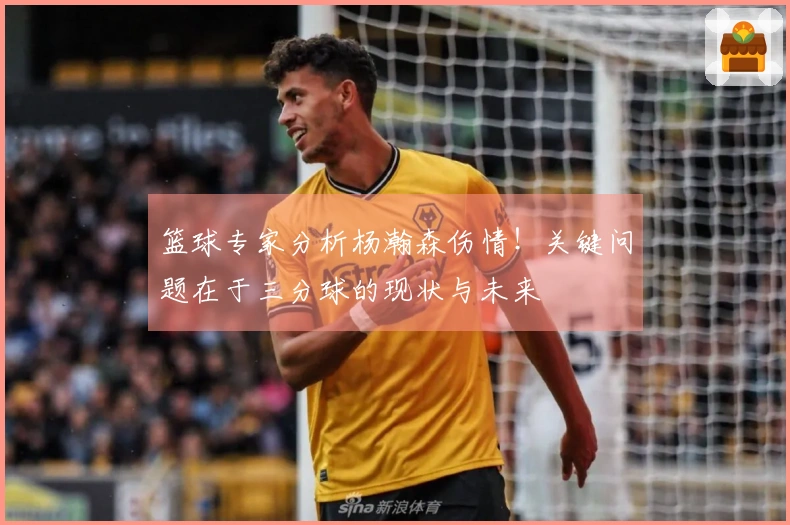 篮球专家分析杨瀚森伤情！关键问题在于三分球的现状与未来