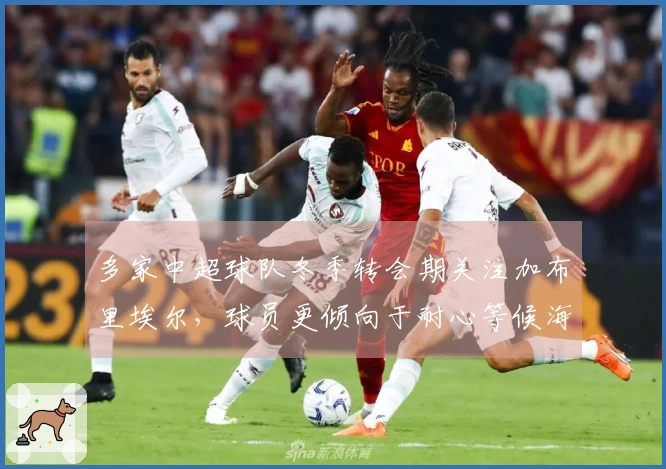 多家中超球队冬季转会期关注加布里埃尔，球员更倾向于耐心等候海港的机会