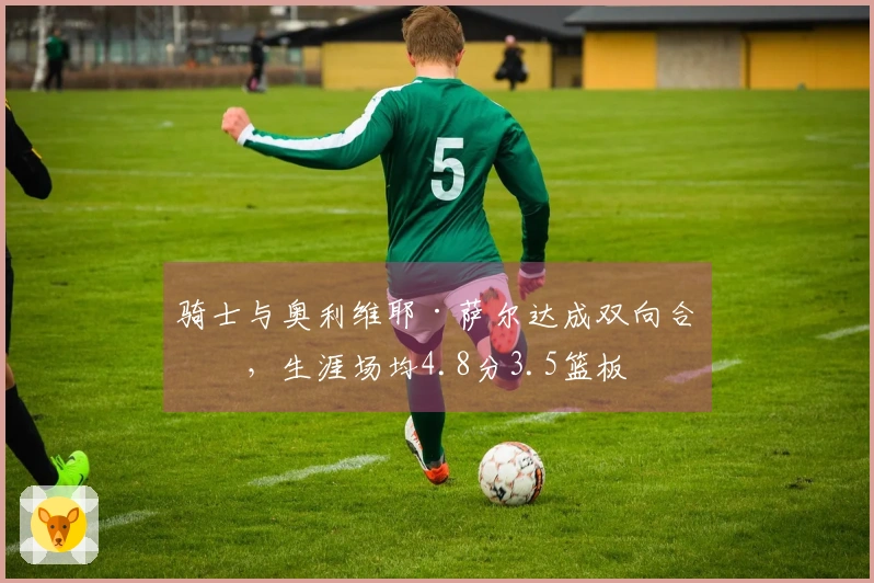 骑士与奥利维耶·萨尔达成双向合同，生涯场均4.8分3.5篮板